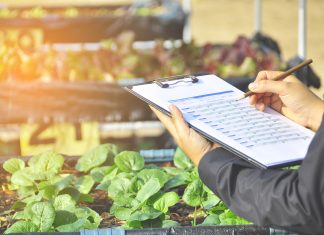 La qualità e la produzione dei nutraceutici