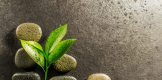 Talassoterapia e terapia fisica, l’evento Amiittf