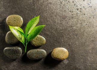 Talassoterapia e terapia fisica, l’evento Amiittf