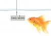 Fake news, la sfida degli integratori