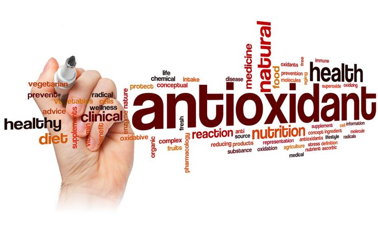 La polidatina: una molecola naturale ad altissima potenzialità antiossidante